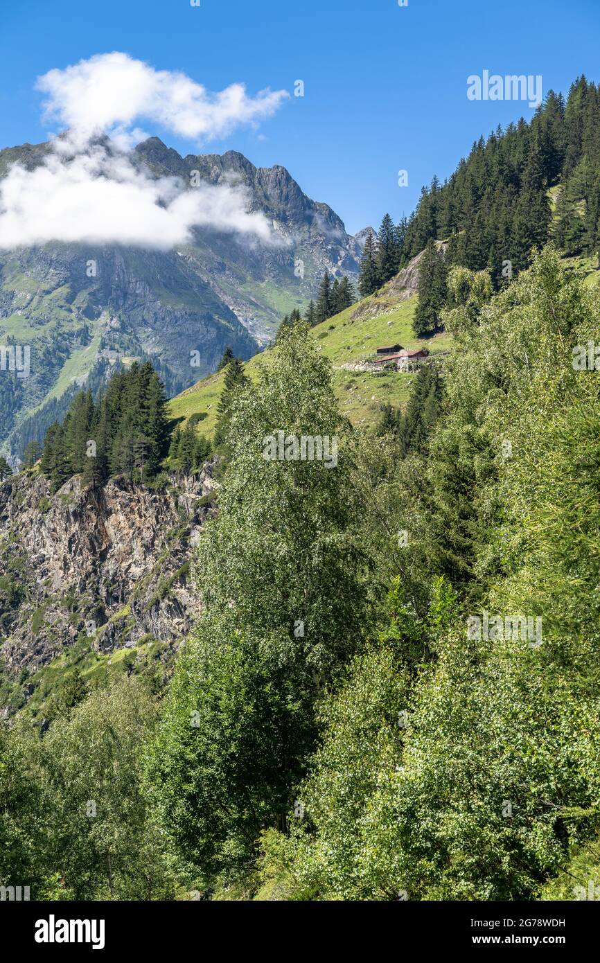 Europa, Österreich, Tirol, Ötztal Alpen, Ötztal, Blick auf eine unbebaute Alm hoch über Huben im Ötztal Stockfoto