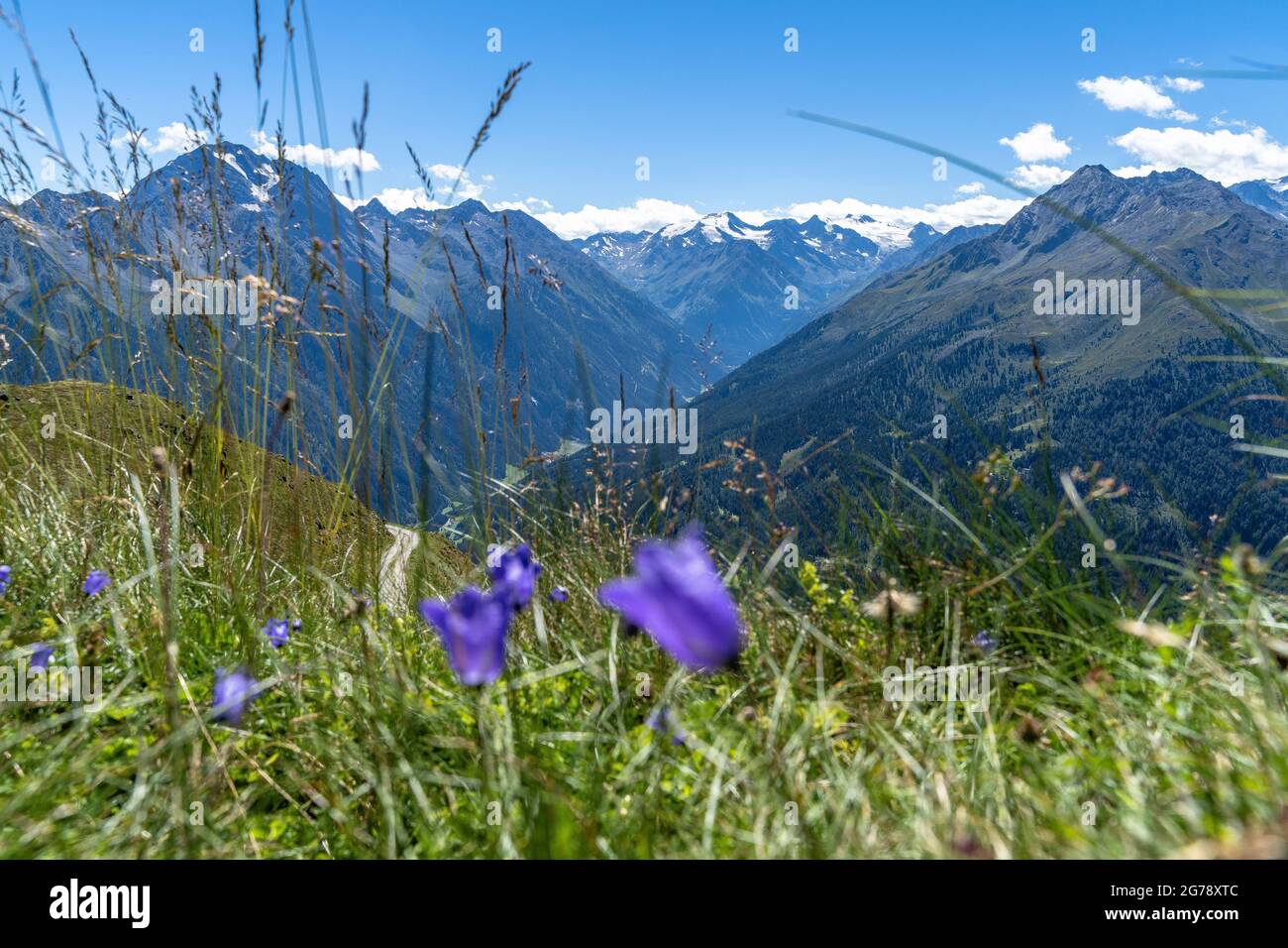 Europa, Österreich, Tirol, Stubaier Alpen, Blick auf das Stubaital mit ...