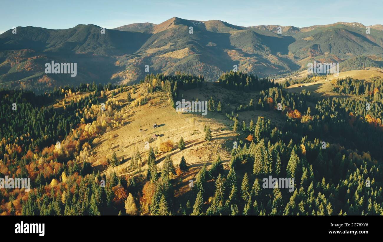 Unerforschte Bergrücken mit Kiefernbäumen aus der Luft. Herbst niemand Natur Landschaft. Ländliche Hütte am Mount Peak. Tannenwald im grünen Grastal. Urlaub in den Karpaten, Ukraine, Europa Stockfoto