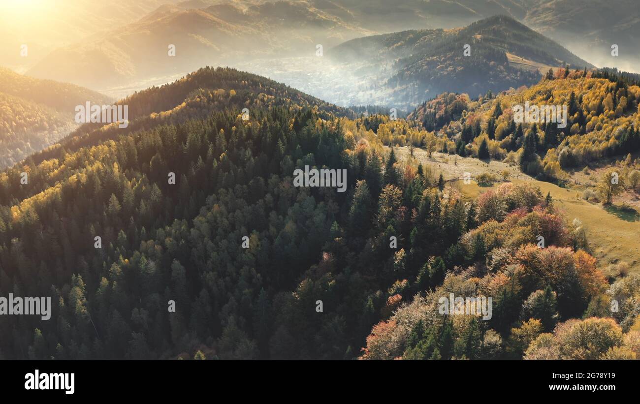 Sonnentannen Bäume Wald auf Bergketten Luftaufnahme. Niemand Natur Herbstlandschaft. Grüne und gelbe Bäume bei Nebelnebel. Bergsteigerurlaub. Reise nach Karpaten, Ukraine, Europa Stockfoto