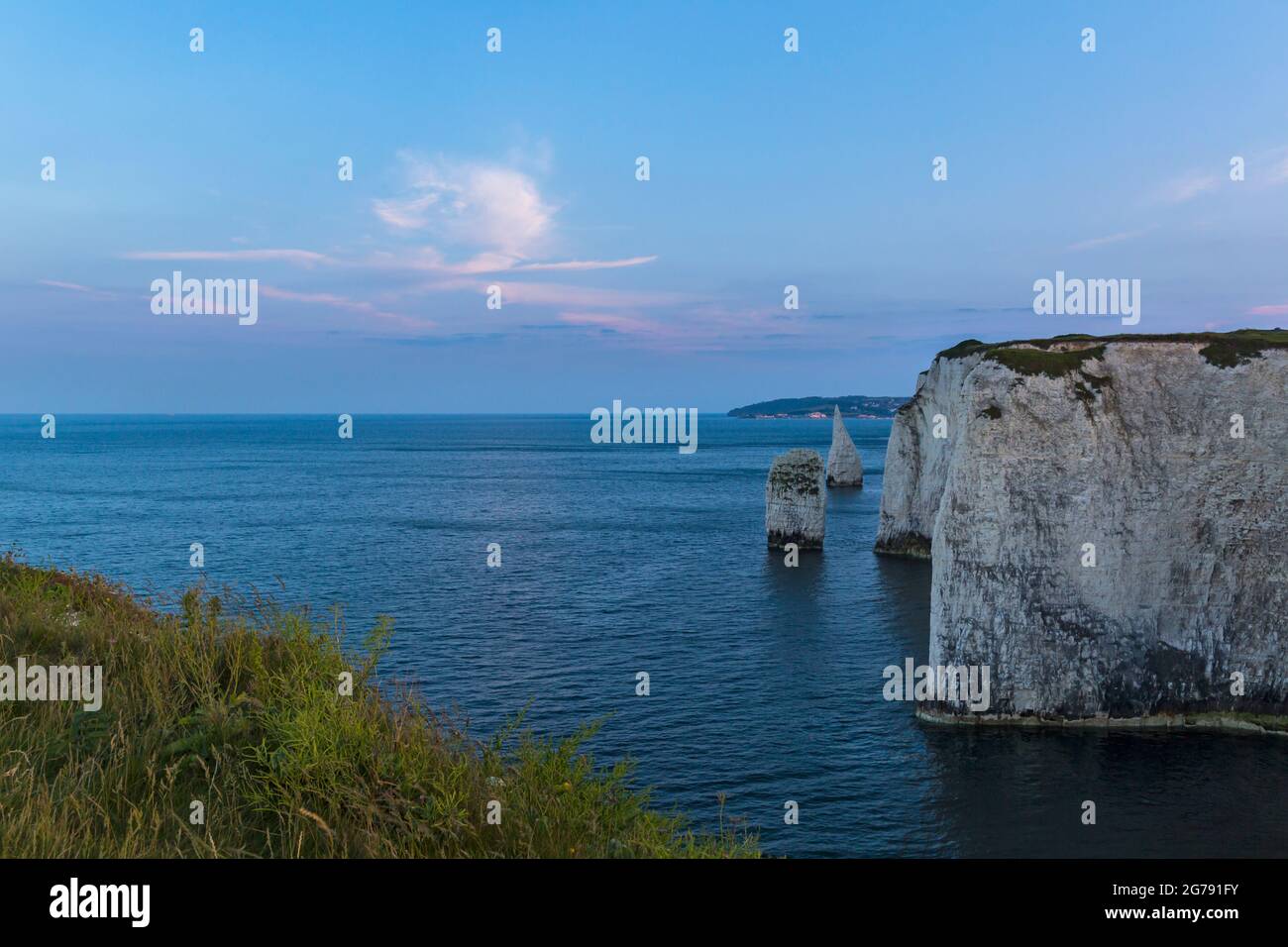 Blick auf die Old Harry Rocks an der Jurassic Coast vom South West Coast Path, Isle of Purbeck, Dorset UK an einem Sommerabend im Juni Stockfoto