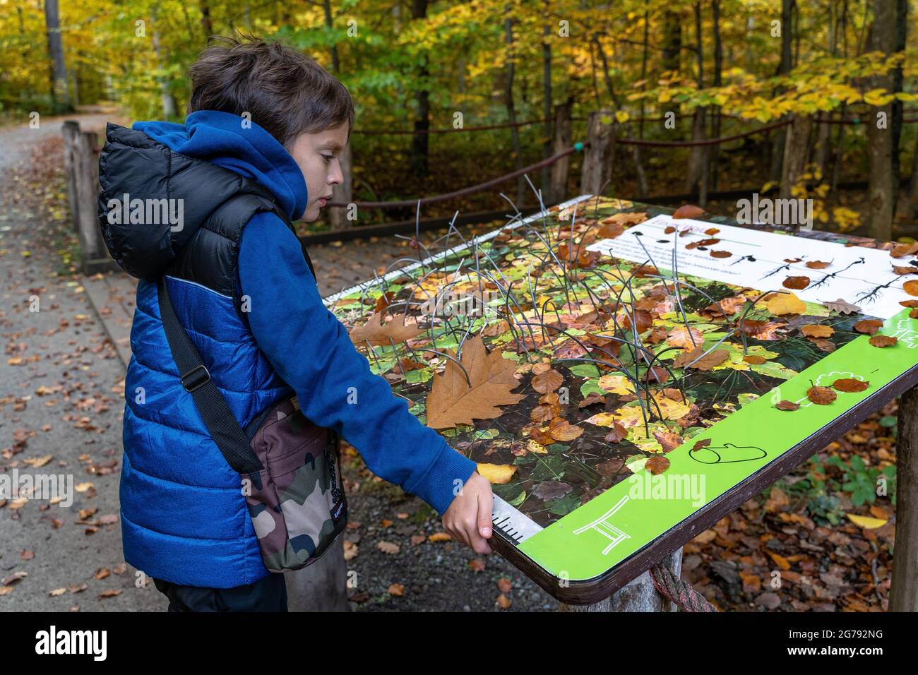 Europa, Deutschland, Baden-Württemberg, Stuttgart, Junge schaut auf eine Informationstafel im Haus des Waldes in Degerloch Stockfoto