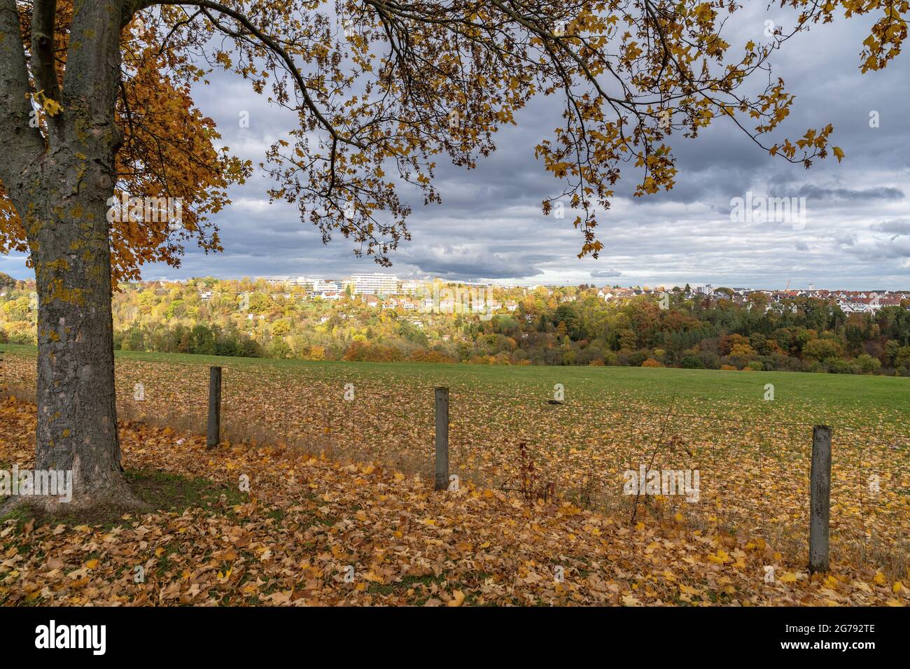 Europa, Deutschland, Baden-Württemberg, Stuttgart, Herbstansicht von Hohenheim Stockfoto