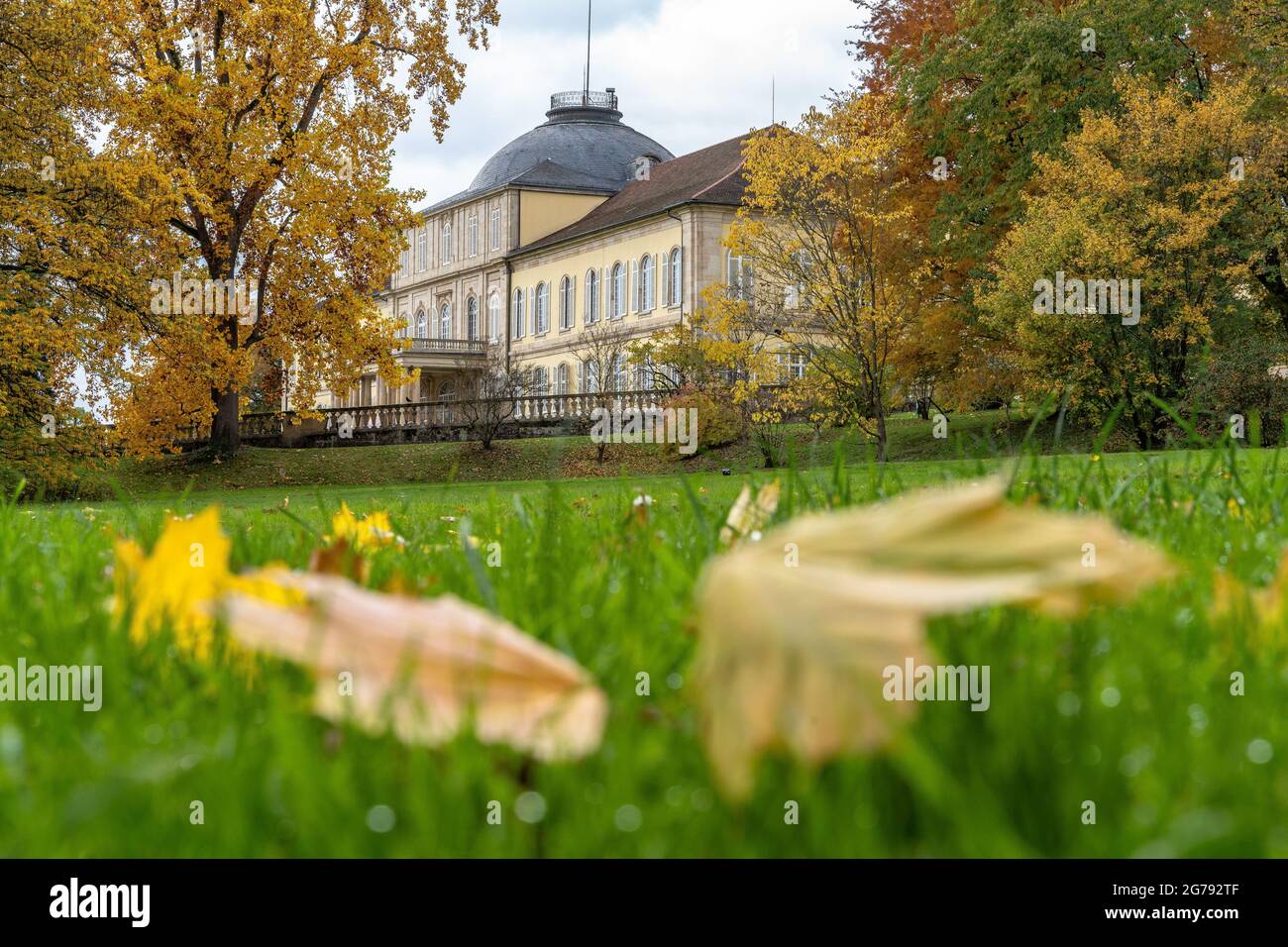 Europa, Deutschland, Baden-Württemberg, Stuttgart, Schloss Hohenheim, Blick auf Schloss Hohenheim im Herbstpark Stockfoto