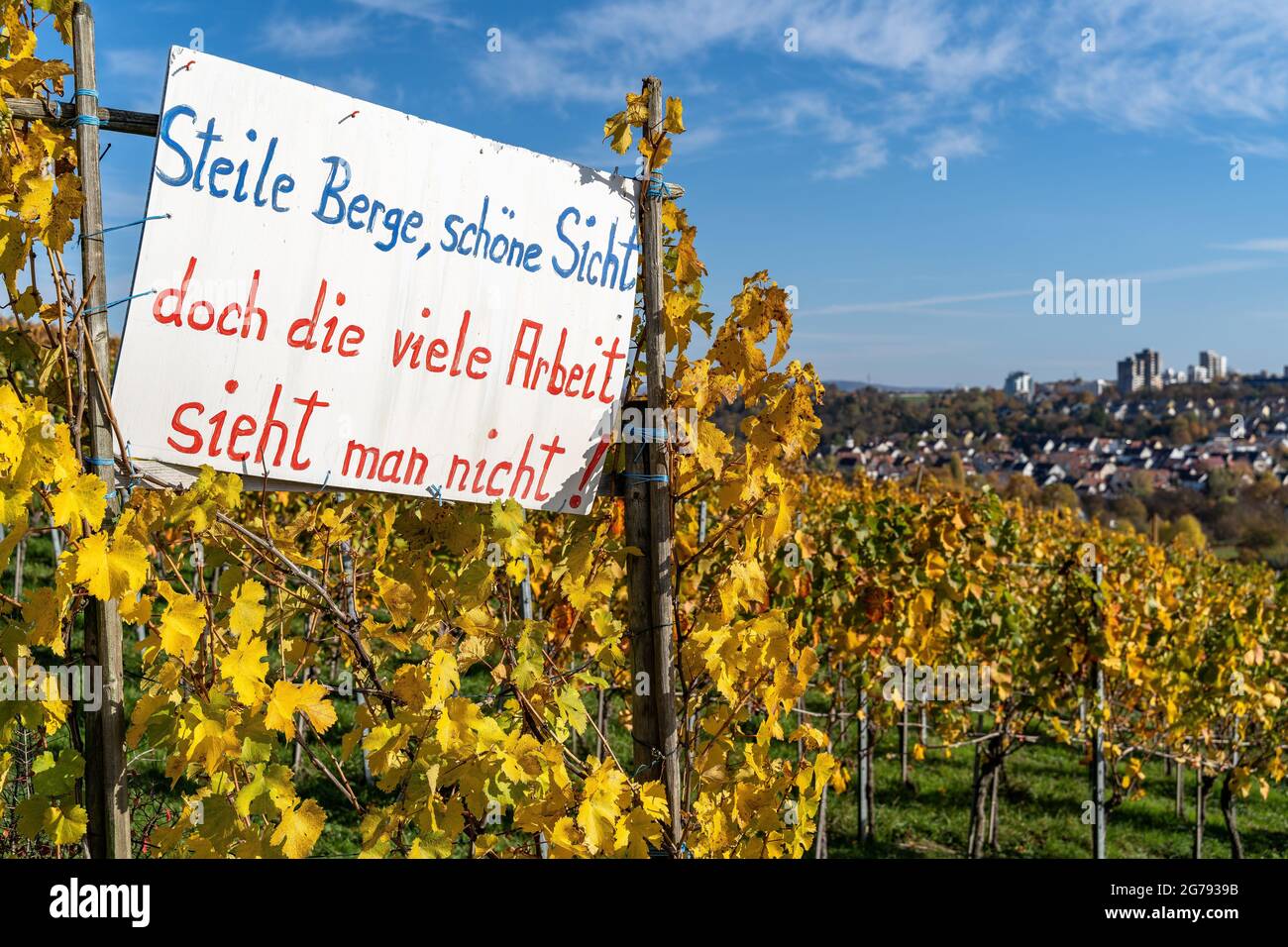 Europa, Deutschland, Baden-Württemberg, Stuttgart, neugieriges Zeichen in den Weinbergen oberhalb des Max-Eyth-See Stockfoto
