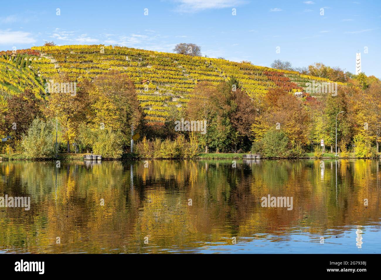Europa, Deutschland, Baden-Württemberg, Stuttgart, Blick auf die herbstlich gefärbten Weinberge von Cannstatter Zuckerle am Neckar Stockfoto
