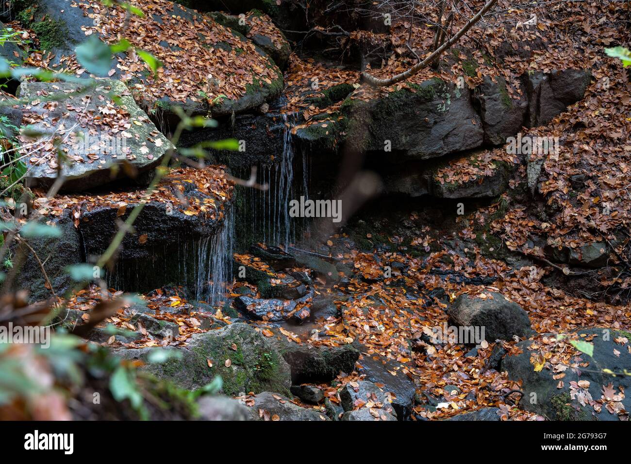 Europa, Deutschland, Süddeutschland, Baden-Württemberg, Stuttgart, Heslacher Wasserfälle im Herbst Stockfoto