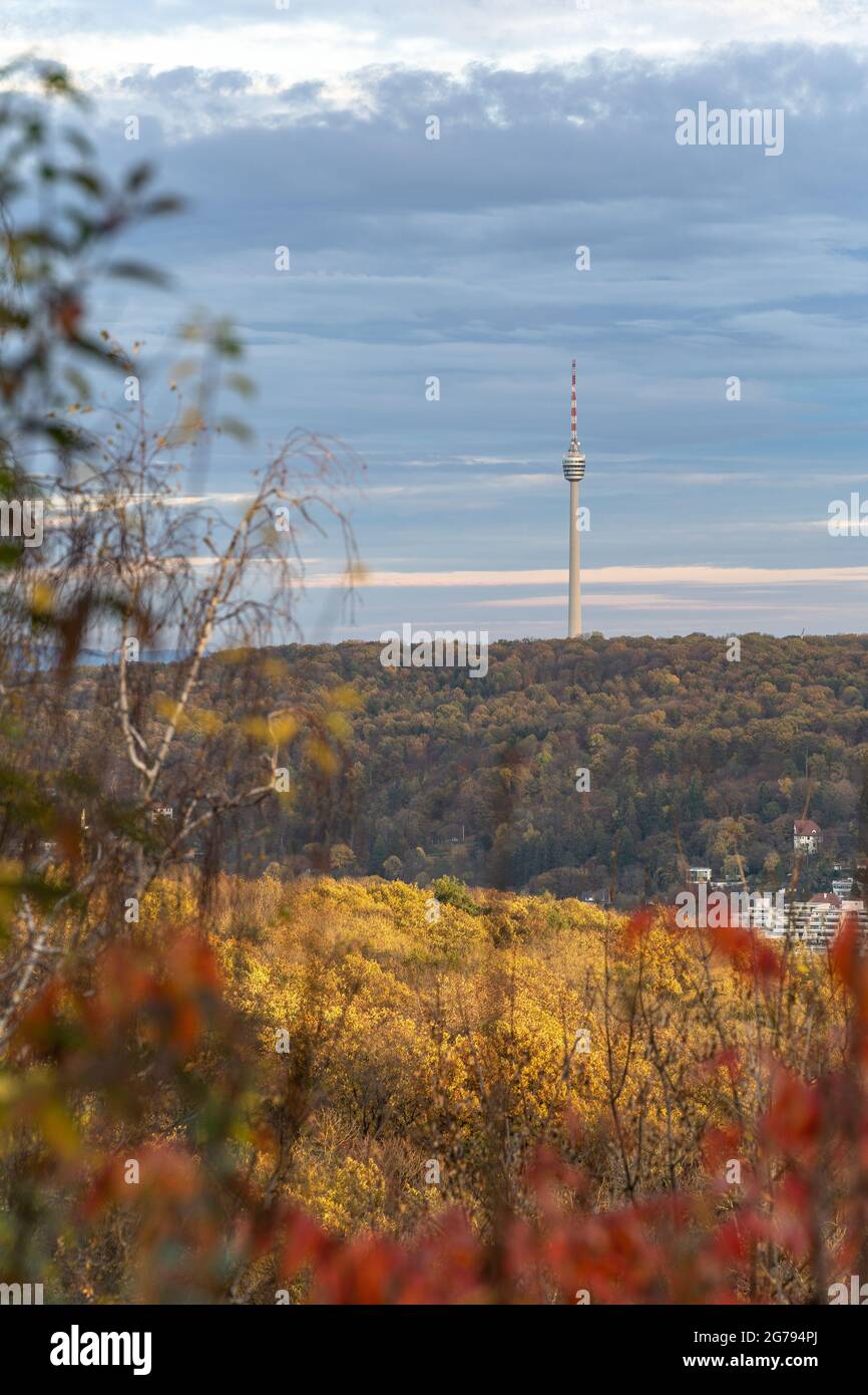 Europa, Deutschland, Süddeutschland, Baden-Württemberg, Stuttgart, Birkenkopf, Blick vom Birkenkopf auf den Stuttgarter Fernsehturm Stockfoto