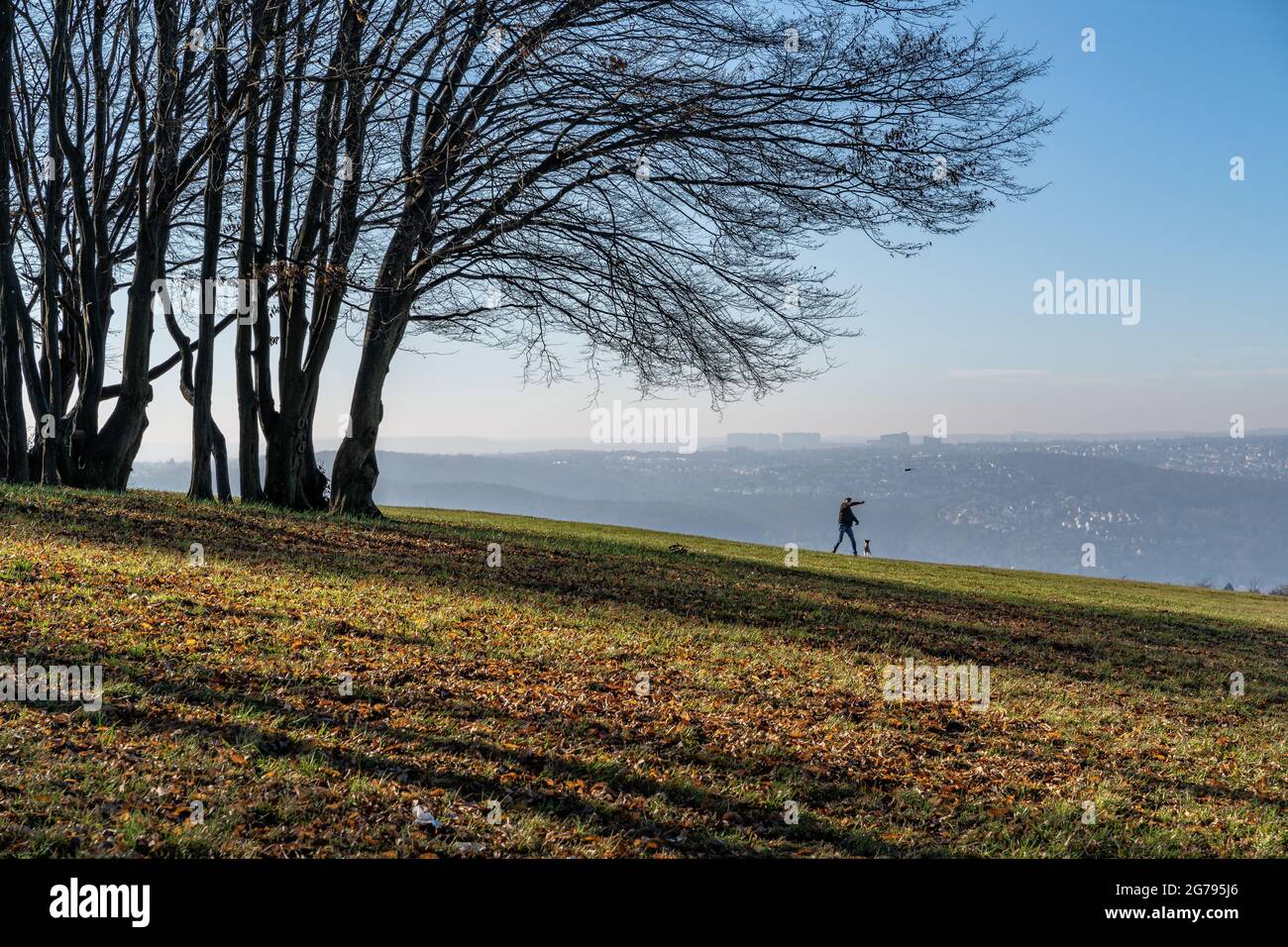 Europa, Deutschland, Baden-Württemberg, Esslingen, Mann, der mit Hund auf einer Herbstwiese spielt Stockfoto