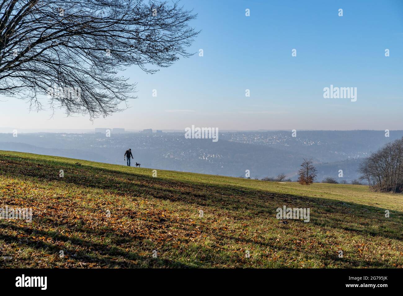 Europa, Deutschland, Baden-Württemberg, Esslingen, Mann spielt mit Hund auf einer Herbstwiese mit Blick auf Stuttgart Stockfoto