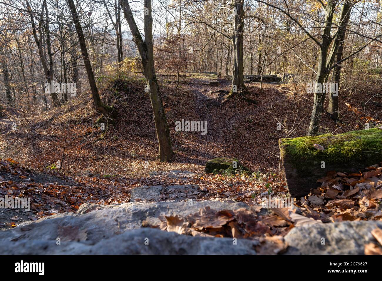 Europa, Deutschland, Baden-Württemberg, Stuttgart, Stadtwald, Ruine Dischinger Burg im Waldgebiet Dischinger Burg Stockfoto