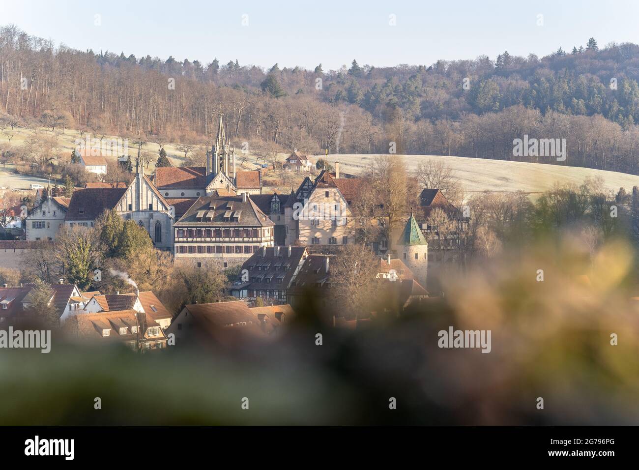 Europa, Deutschland, Baden-Württemberg, Schönbuch, Bebenhausen, Blick auf das Kloster Bebenhausen im Naturpark Schönbuch Stockfoto