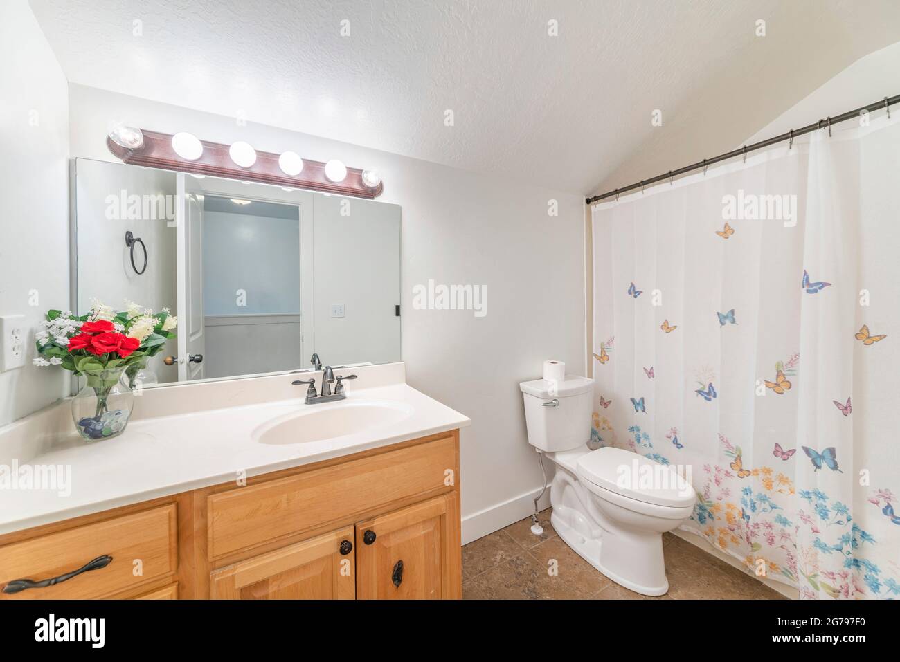 Geräumiges Badezimmer mit Waschbecken und geschlossenem Duschvorhang im Schmetterlingsdesign Stockfoto