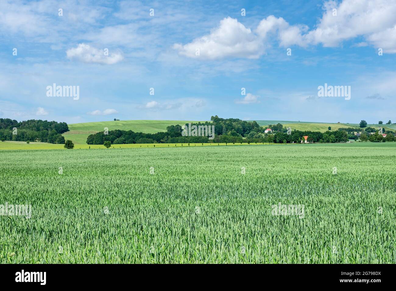 Landwirtschaftliche Landschaft im Bezirk Sächsische Schweiz-Osterz Stockfoto