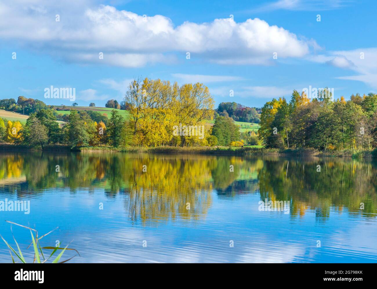 Deutschland, Baden-Württemberg, Illmensee, Herbstlandschaft am Illmensee. Der Illmensee liegt im FFH-Gebiet 8122-342 'Pfrunger Ried und Seen bei Illmensee'. Im Naturschutzgebiet liegt das eiszeitliche Seeplateau mit dem Illmensee, dem Ruschweiler See und dem Volzer See. Stockfoto