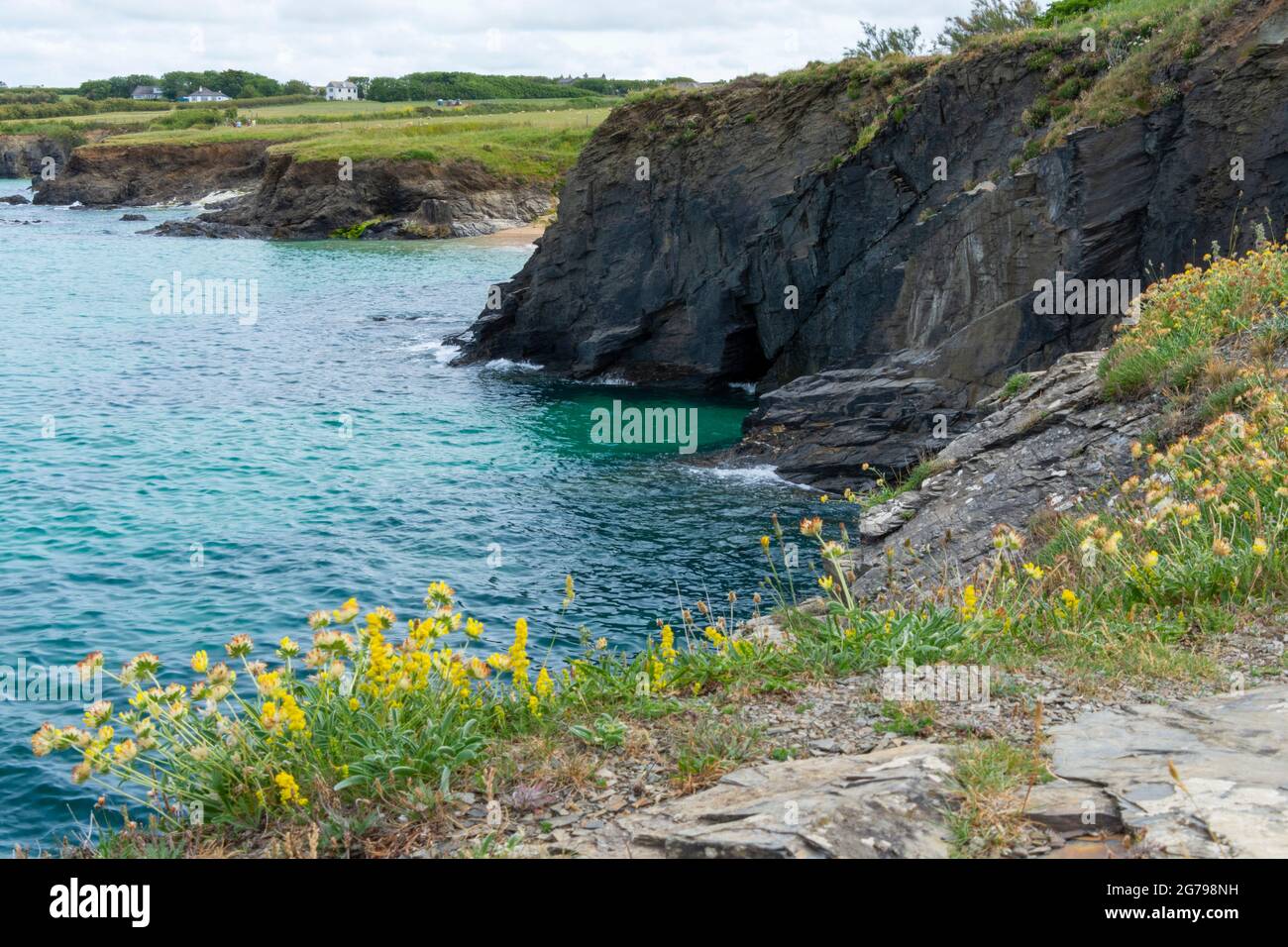 Das wunderschöne türkisfarbene Meer mit Blick auf Harlyn Bay, Cornwall, Großbritannien. Stockfoto