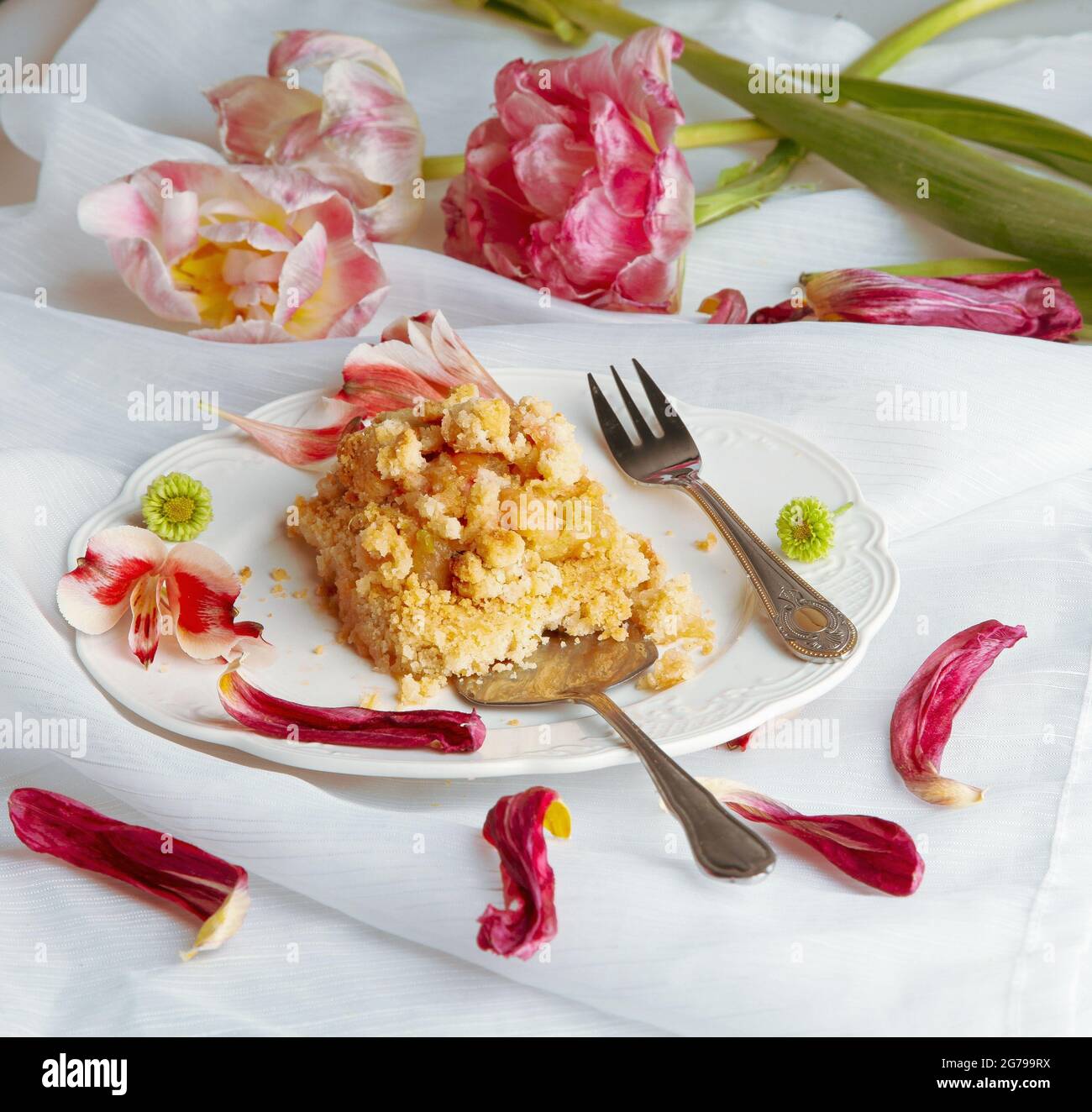 Kuchen, Apfel - Rhabarber Streuseln, Studiofotografie Stockfoto