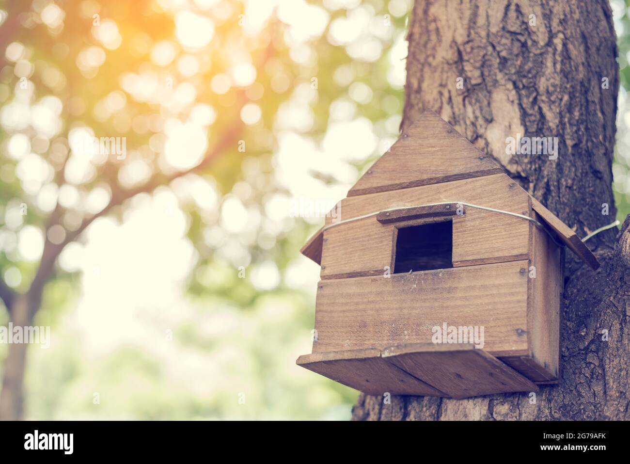 Verschwommenes schönes Vogelhaus, das vom Baum hängt. Cross Processing und Split Tone instragram wie Prozess.mit Sonnenlicht. Stockfoto