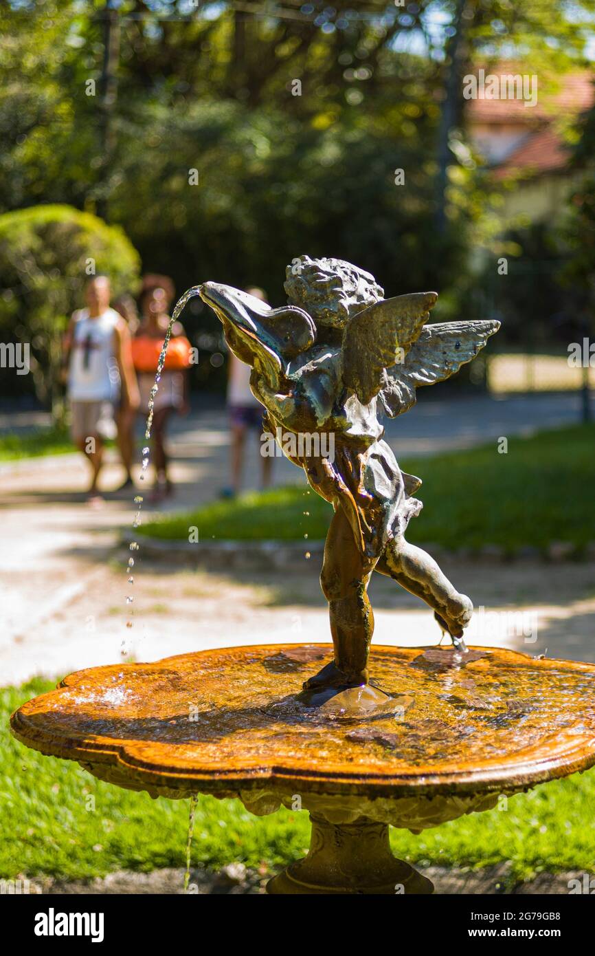 Der Botanische Garten von Rio de Janeiro oder Jardim Botânico befindet sich im Stadtteil Jardim Botânico in der südlichen Zone von Rio de Janeiro. Der Botanische Garten zeigt die Vielfalt der brasilianischen und ausländischen Flora. Stockfoto