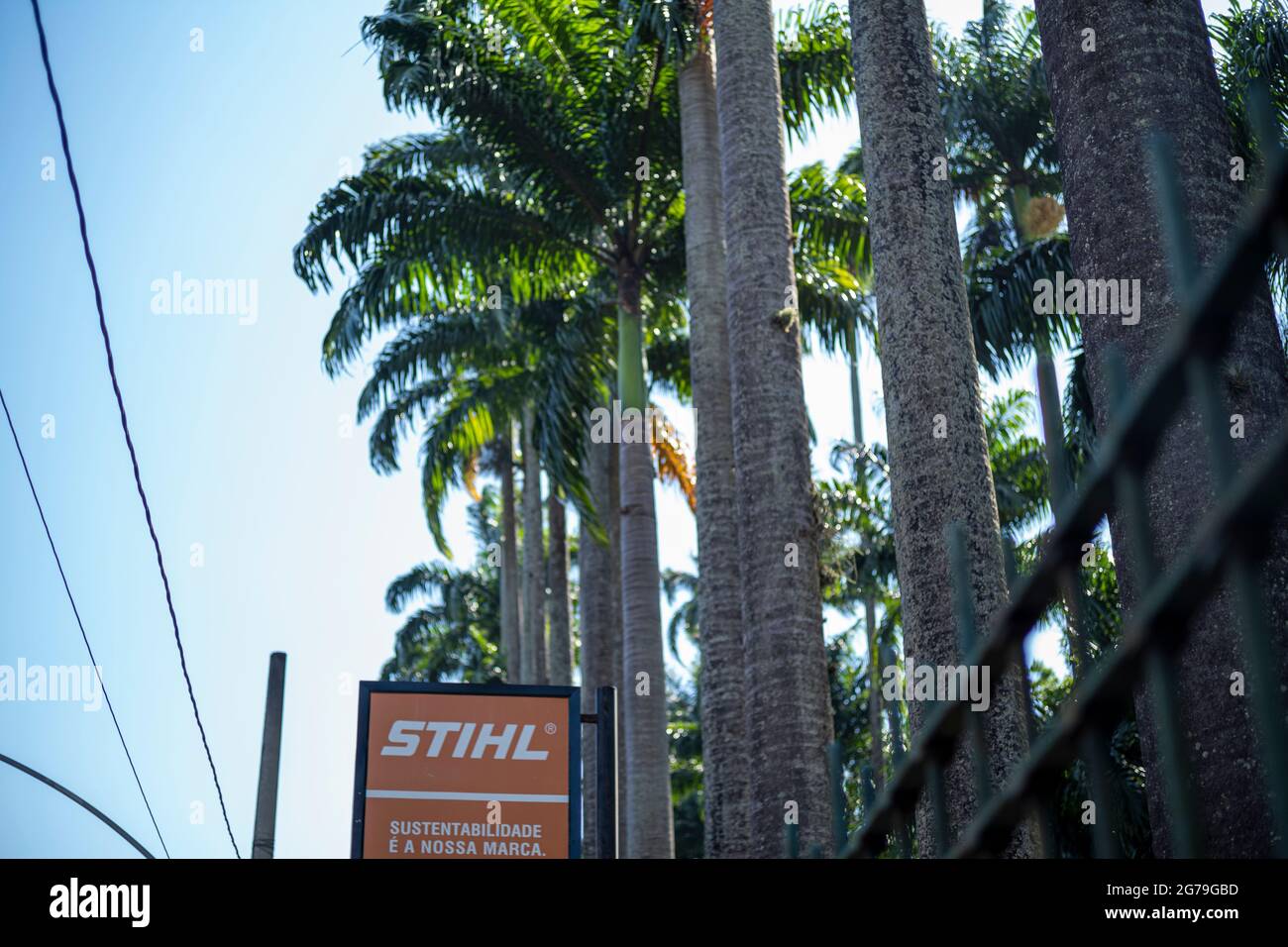 Der Botanische Garten von Rio de Janeiro oder Jardim Botânico befindet sich im Stadtteil Jardim Botânico in der südlichen Zone von Rio de Janeiro. Der Botanische Garten zeigt die Vielfalt der brasilianischen und ausländischen Flora. Stockfoto