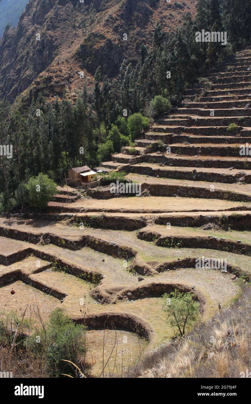 Bauernterrassen und ein Haus, das an der Seite des Patacancha-Gebirges in den peruanischen Anden gebaut wurde Stockfoto