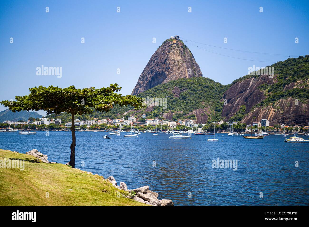 Blauer Himmel auf dem Zuckerhut (PÃ£o de Açúcar) vom Parque do Flamengo in der Nähe von Botafogo in Rio de Janeiro, Brasilien. Aufgenommen mit Leica M10 Stockfoto