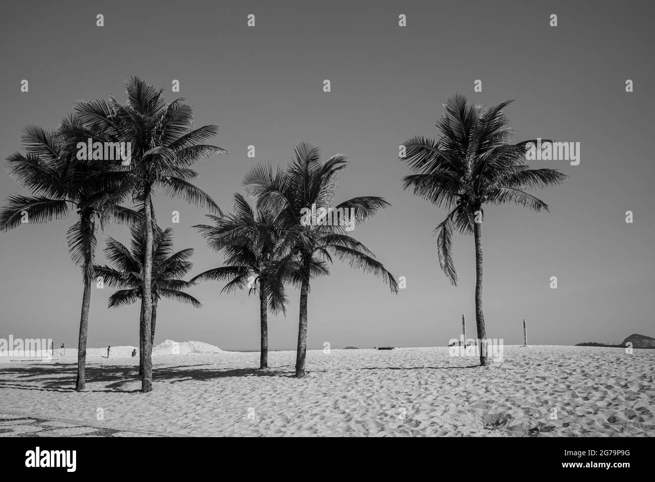 Six Palms am Strand von Ipanema, Rio de Janeiro, Brasilien Stockfoto