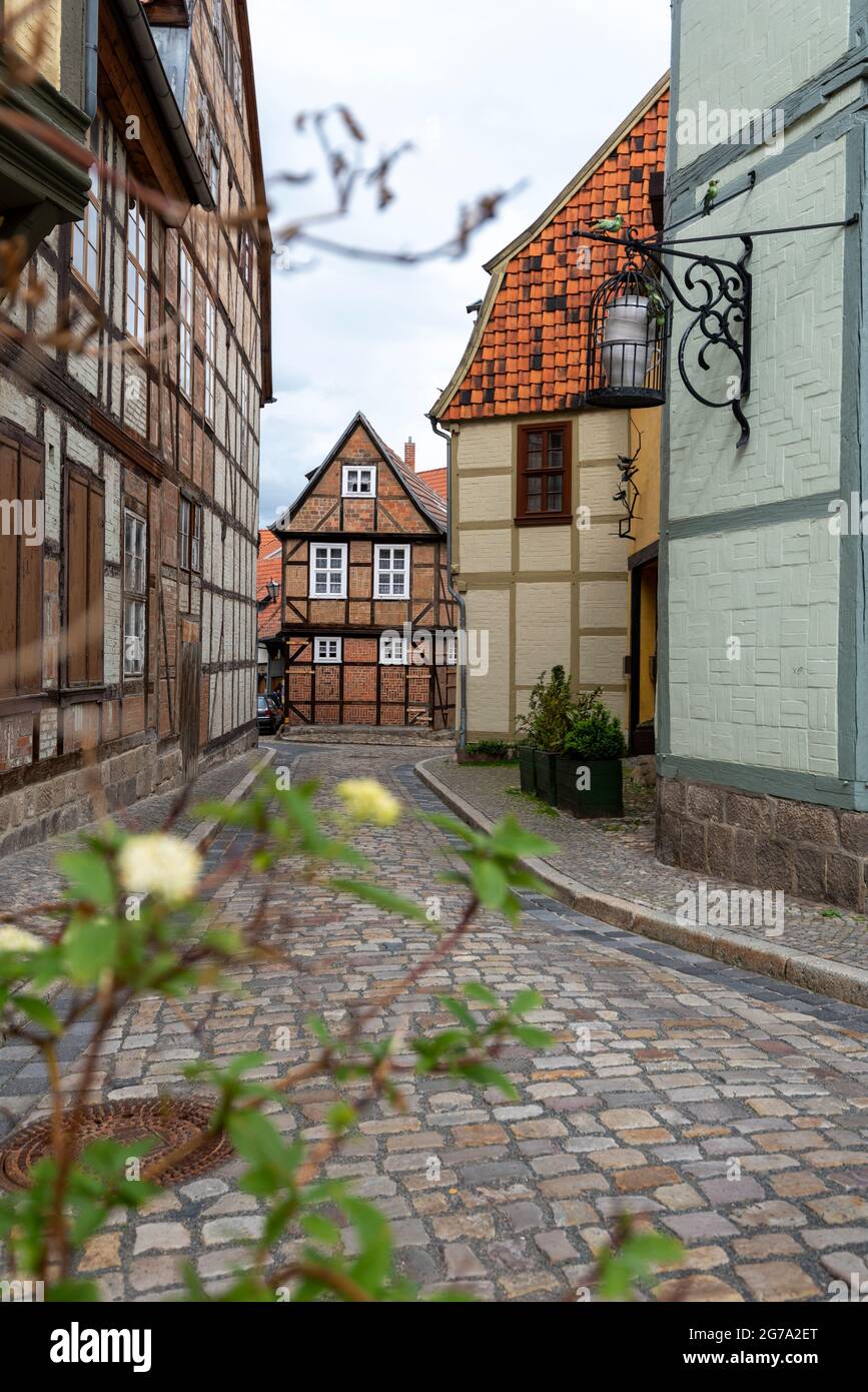 Deutschland, Sachsen-Anhalt, Quedlinburg, historische Fachwerkhäuser in Finkenherd, UNESCO-Weltkulturerbe Stockfoto