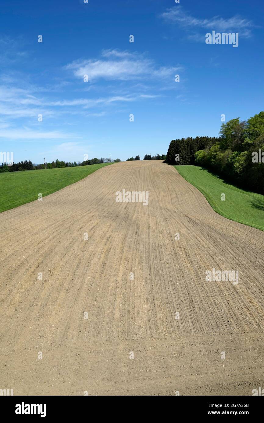 Deutschland, Bayern, Oberbayern, Chiemgau, Landwirtschaft, Ackerland, bebautes Feld, Waldrand Stockfoto