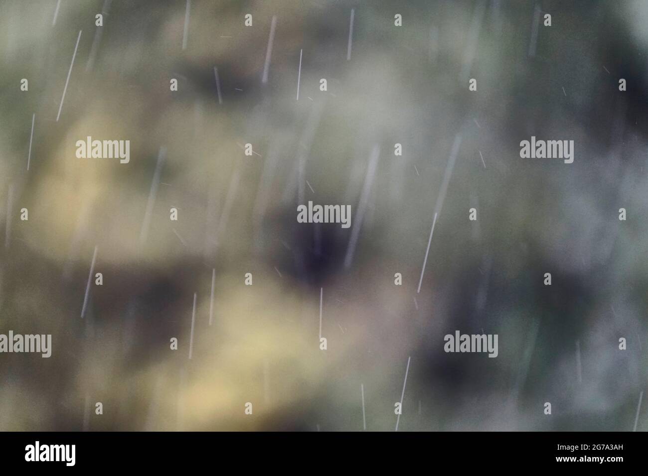 Deutschland, Bayern, Oberbayern, Regenwetter, Regen, Regentropfen, Büsche Stockfoto