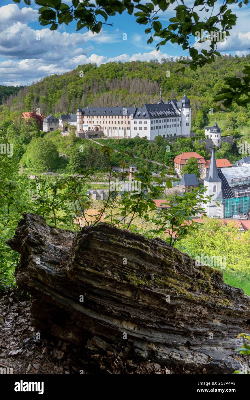 Deutschland, Sachsen-Anhalt, Harz, Stolberg, Altstadt mit Schloss und Fachwerkhäusern, von der Luthereiche aus gesehen Stockfoto
