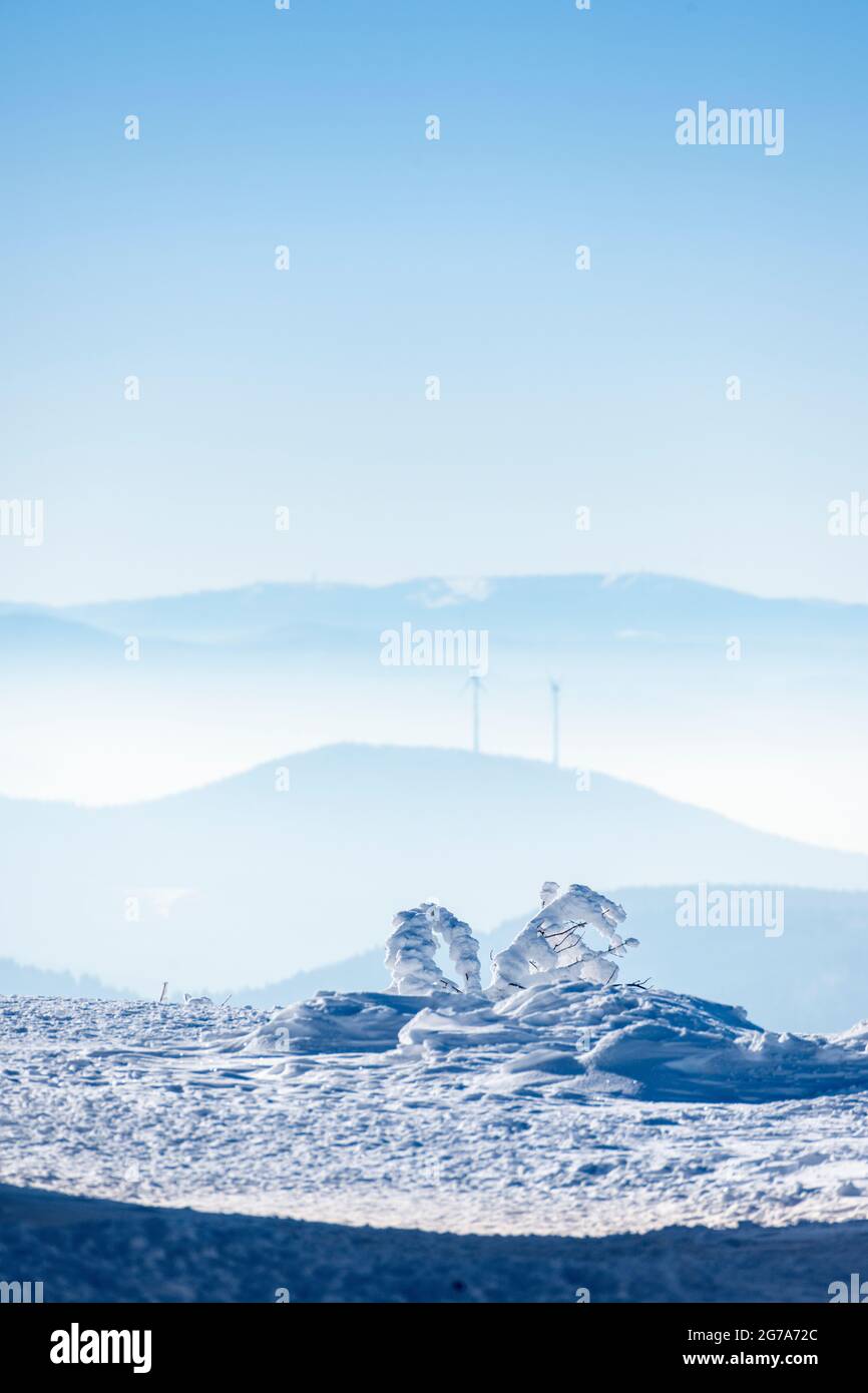 Deutschland, Baden-Württemberg, Schwarzwald, Hornisgrinde, Blick nach Süden. Stockfoto