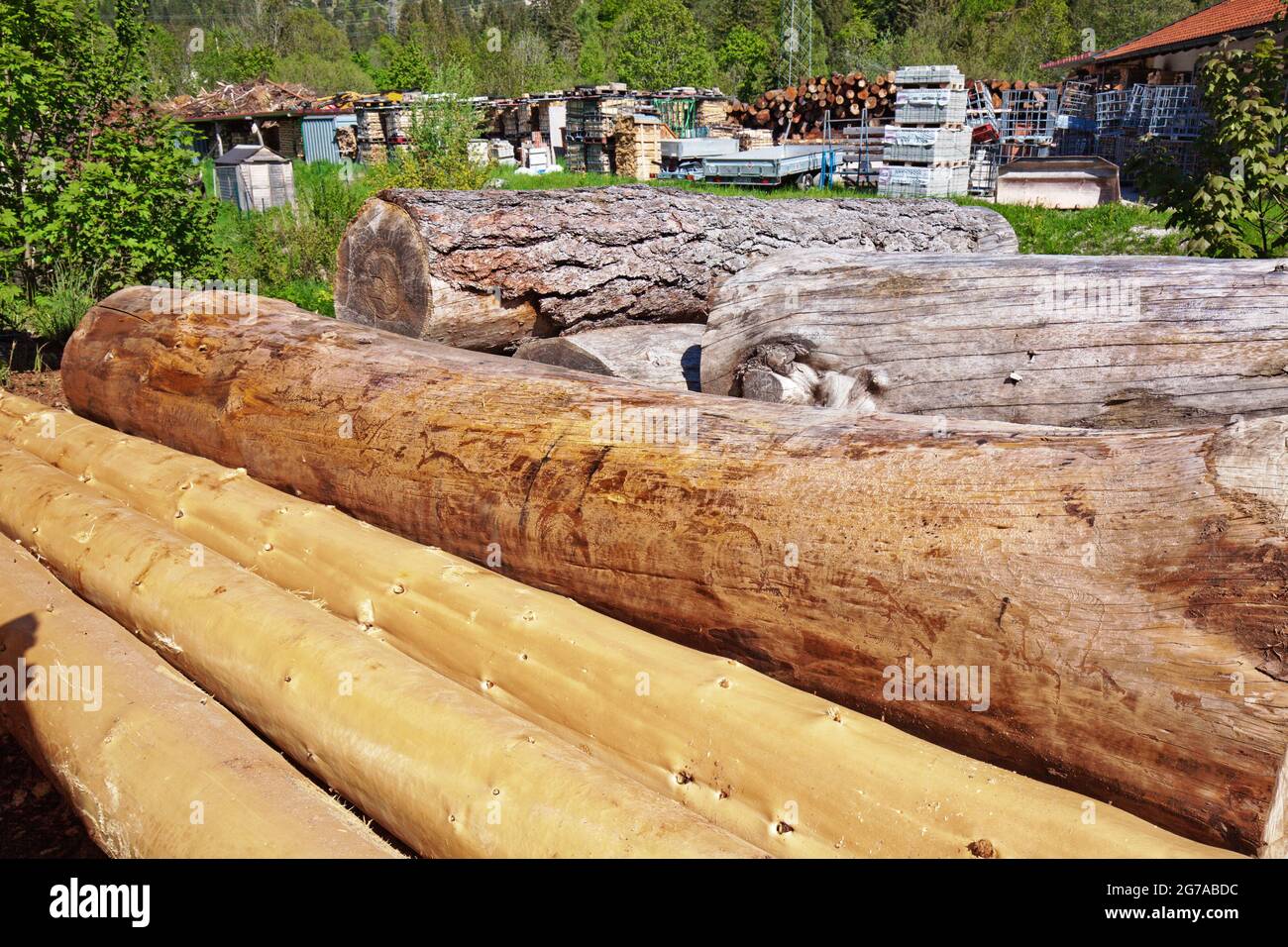 Der Preis für Holz ist vor allem in der Bauindustrie um ein Vielfaches gestiegen Stockfoto