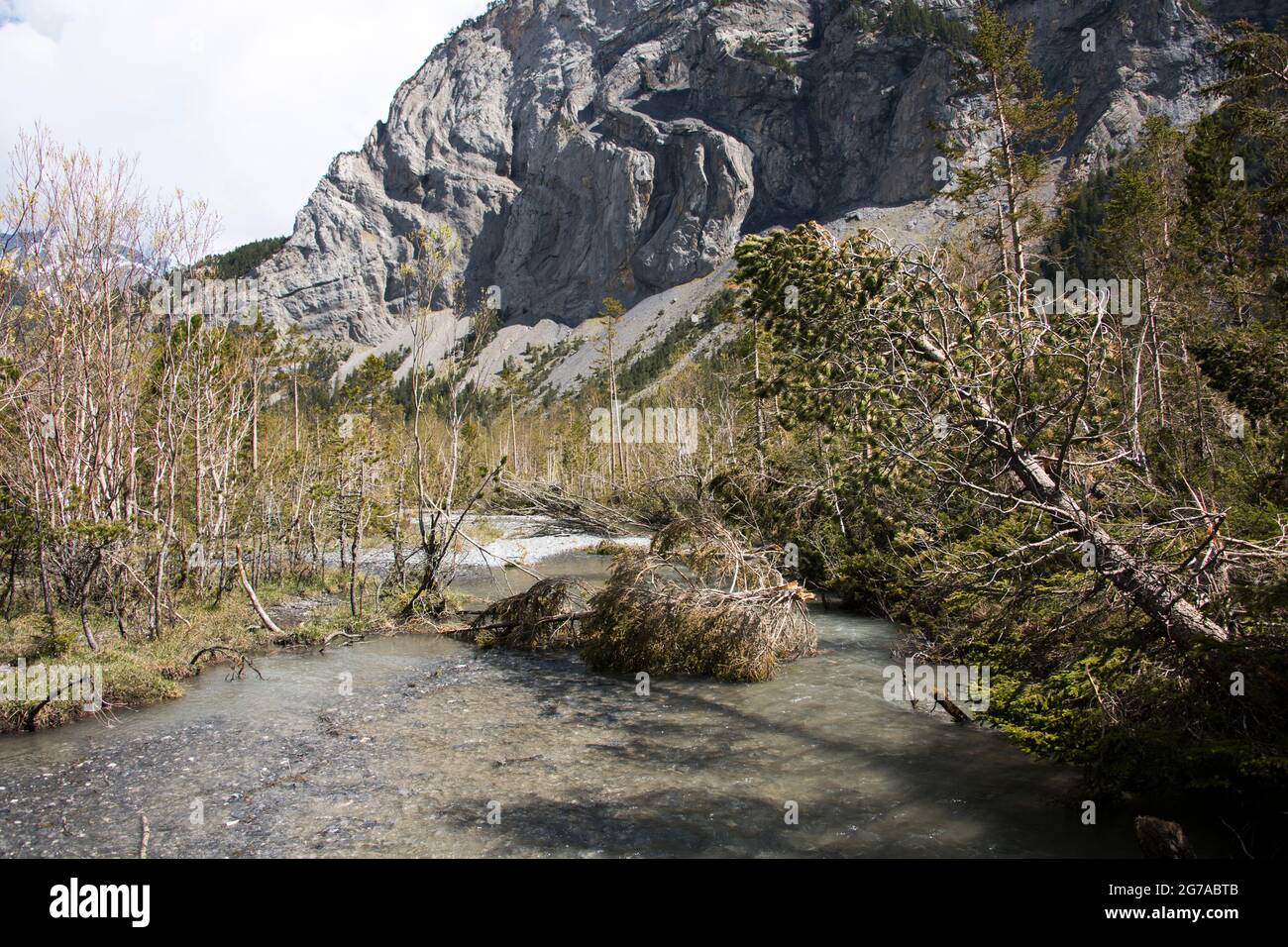 Wiesen und Wasserwelten im Gasterental, Schweiz Stockfoto