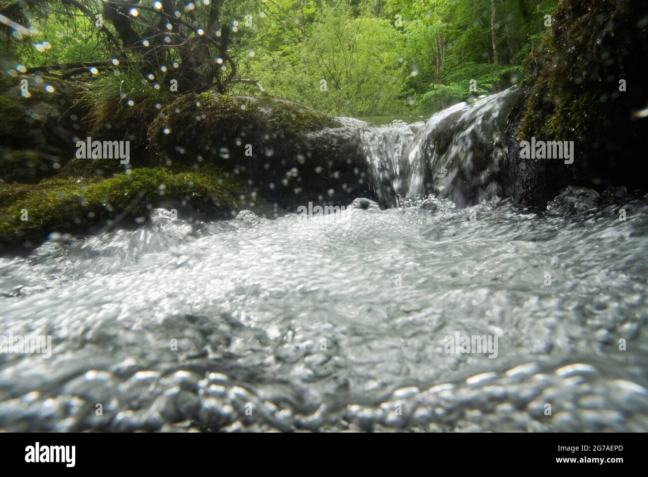 Orbe-Wasserlauf im Waadtländer Jura Stockfoto