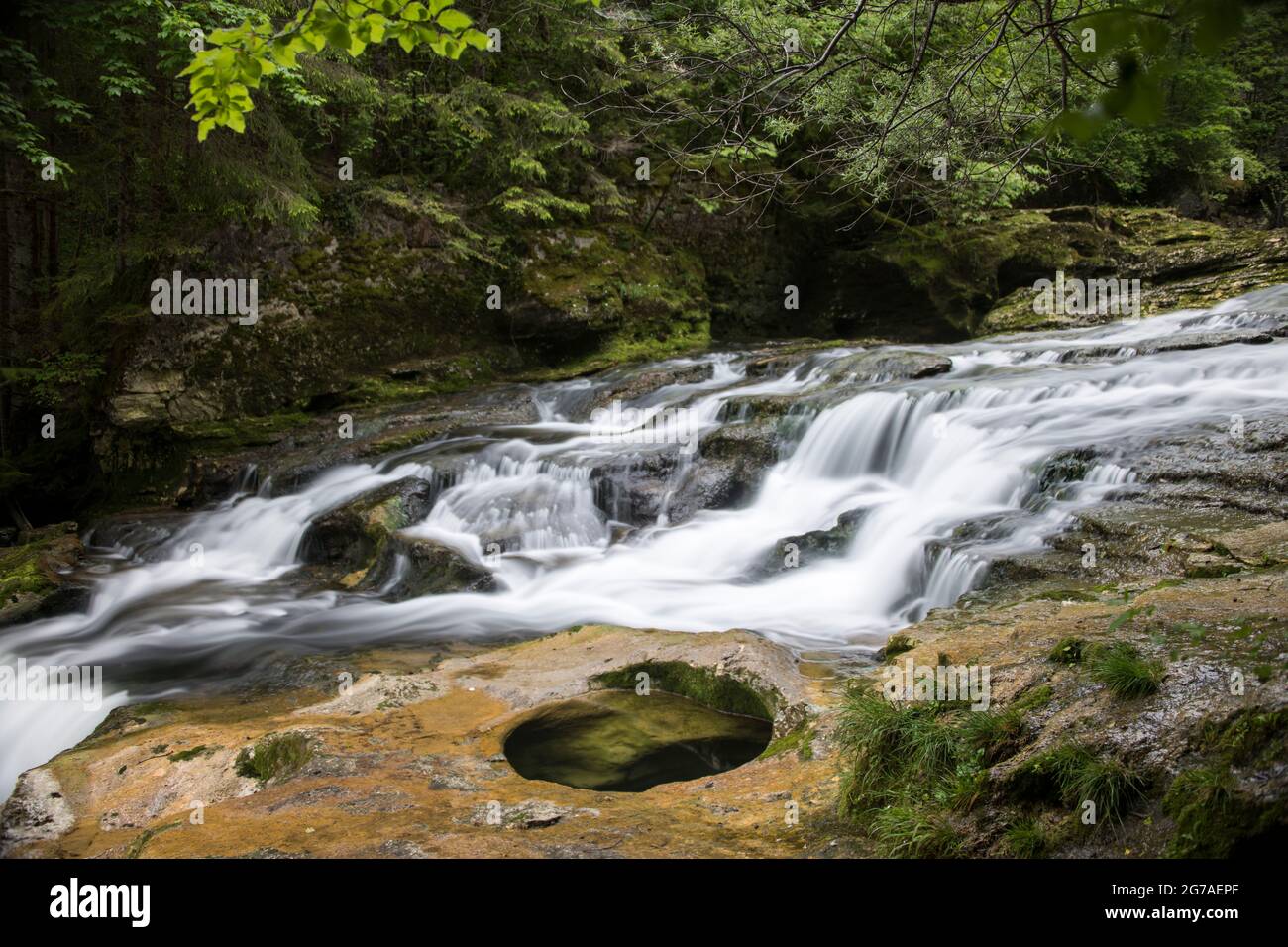 Orbe-Wasserlauf im Waadtländer Jura Stockfoto
