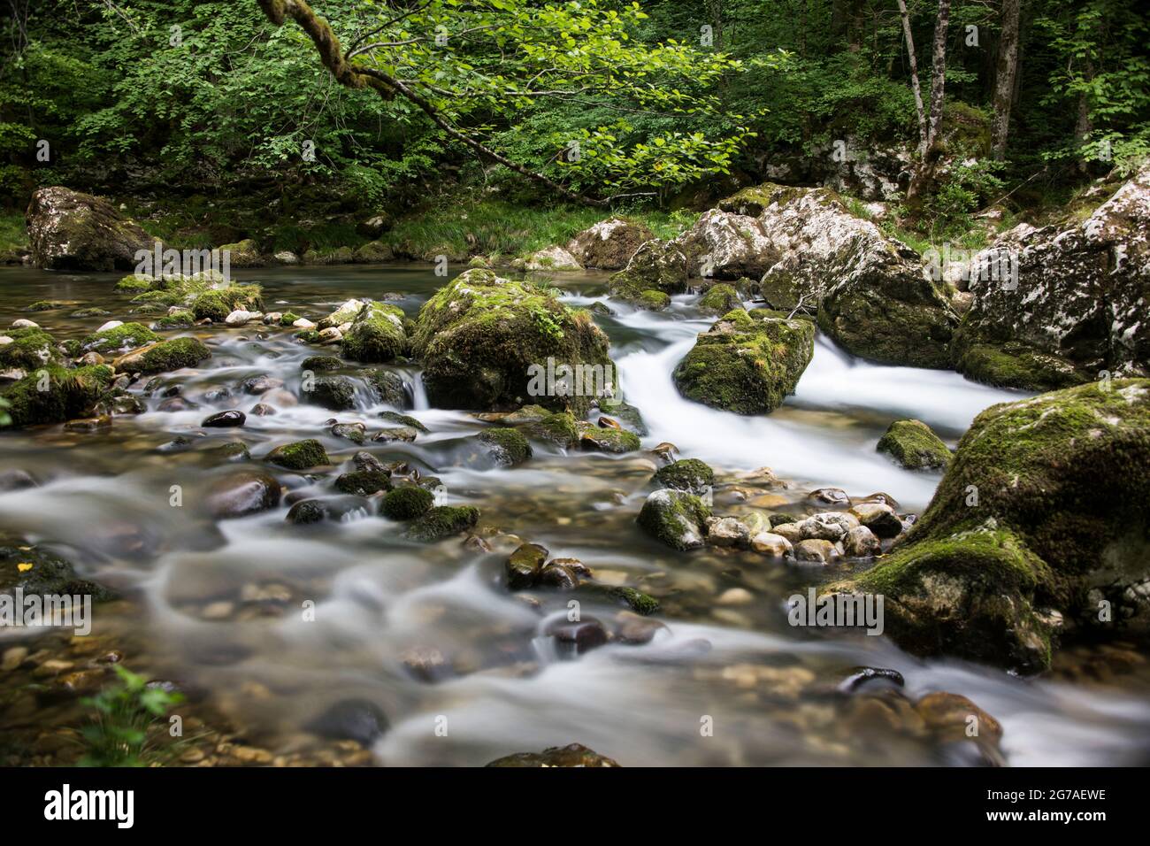 Orbe-Wasserlauf im Waadtländer Jura Stockfoto