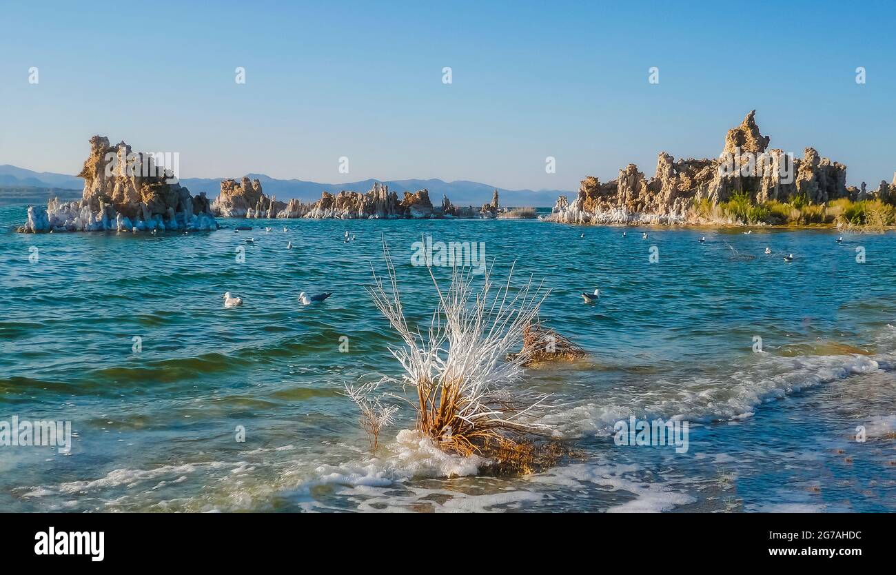 Mono Lake, Kalifornien, USA, Stockfoto