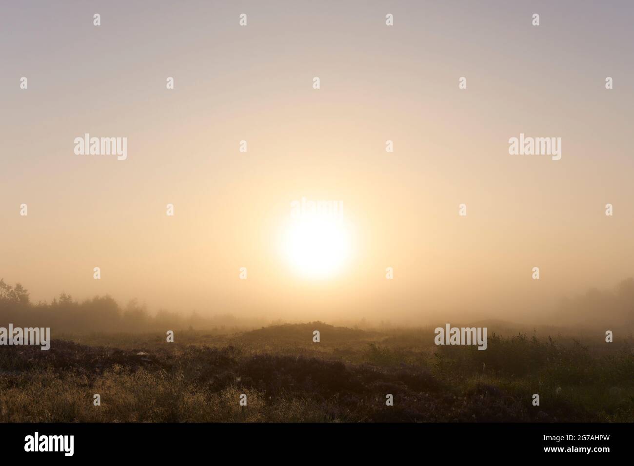 Europa, Dänemark, Nordjütland. Morgennebel und die aufgehende Sonne über den Dünen der Ostküste. Stockfoto