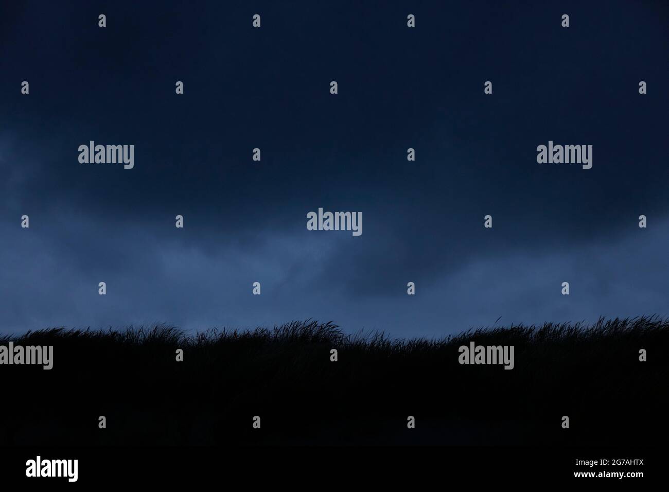 Europa, Dänemark, Nordjütland. Sturm über die Dünen der Ostseeküste. Stockfoto