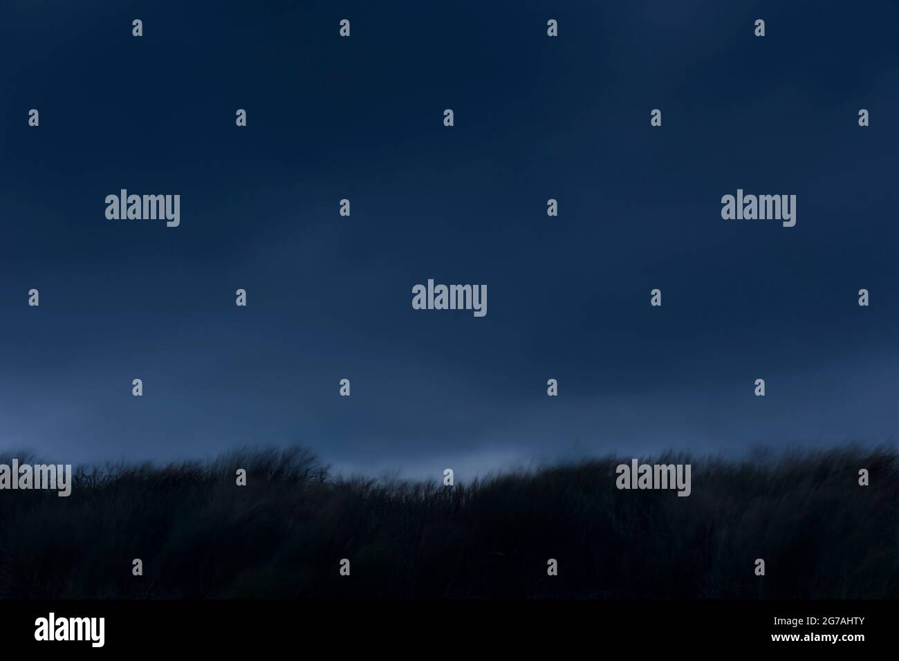Europa, Dänemark, Nordjütland. Sturm über die Dünen der Ostseeküste. Stockfoto