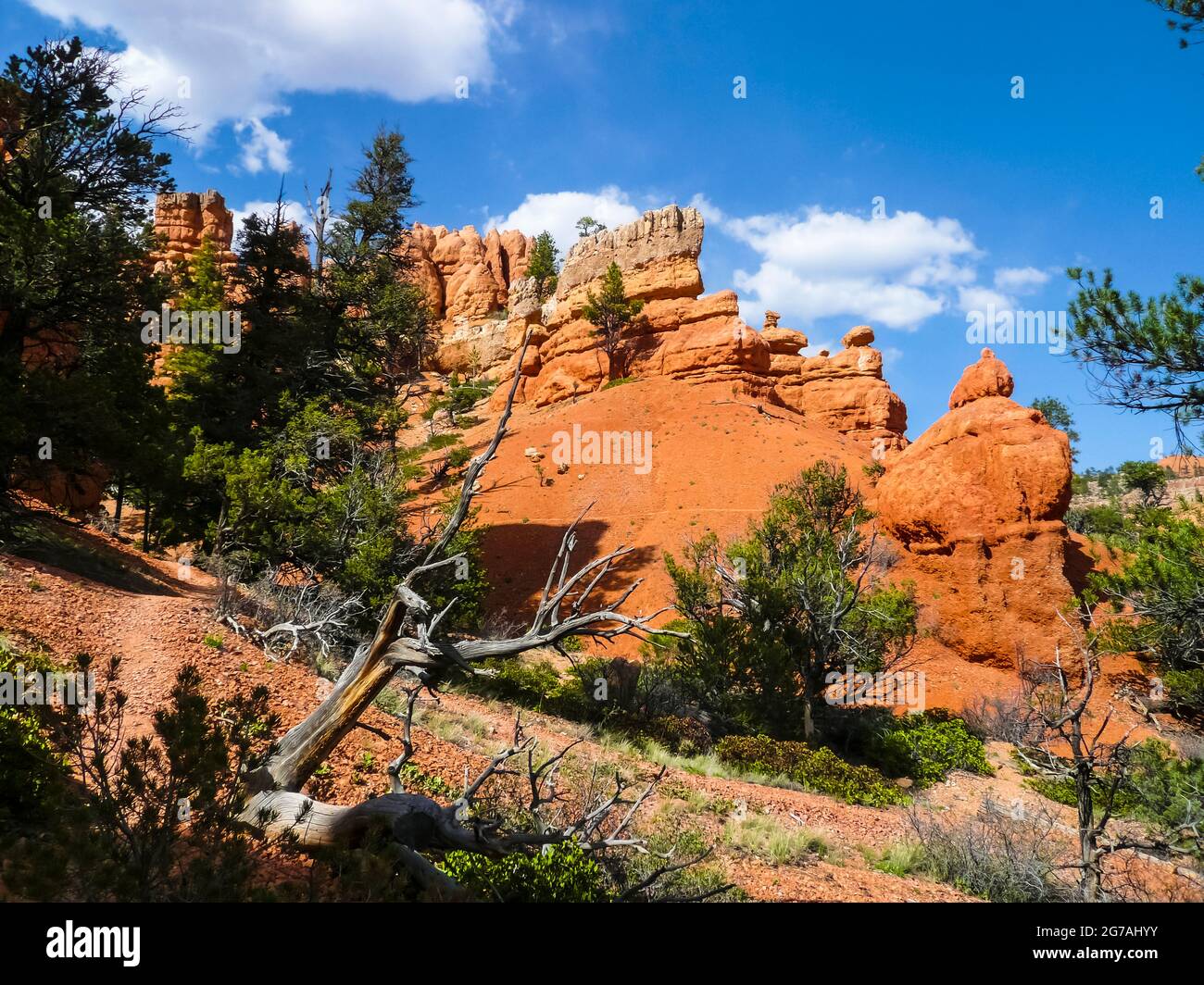 Red Canyon, Utah, USA Stockfoto