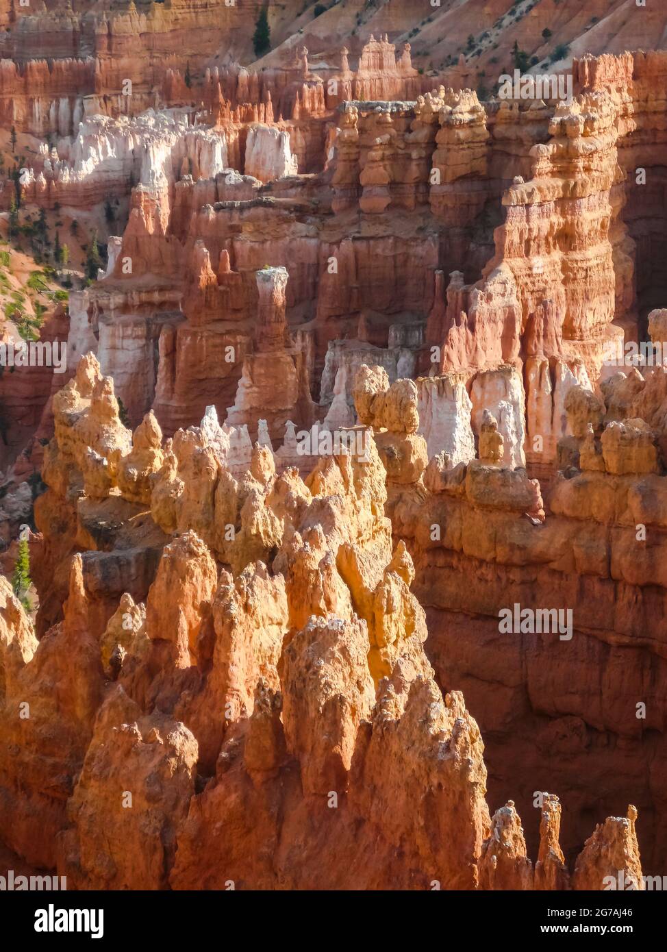 Bryce-Canyon-Nationalpark, Utah, USA Stockfoto