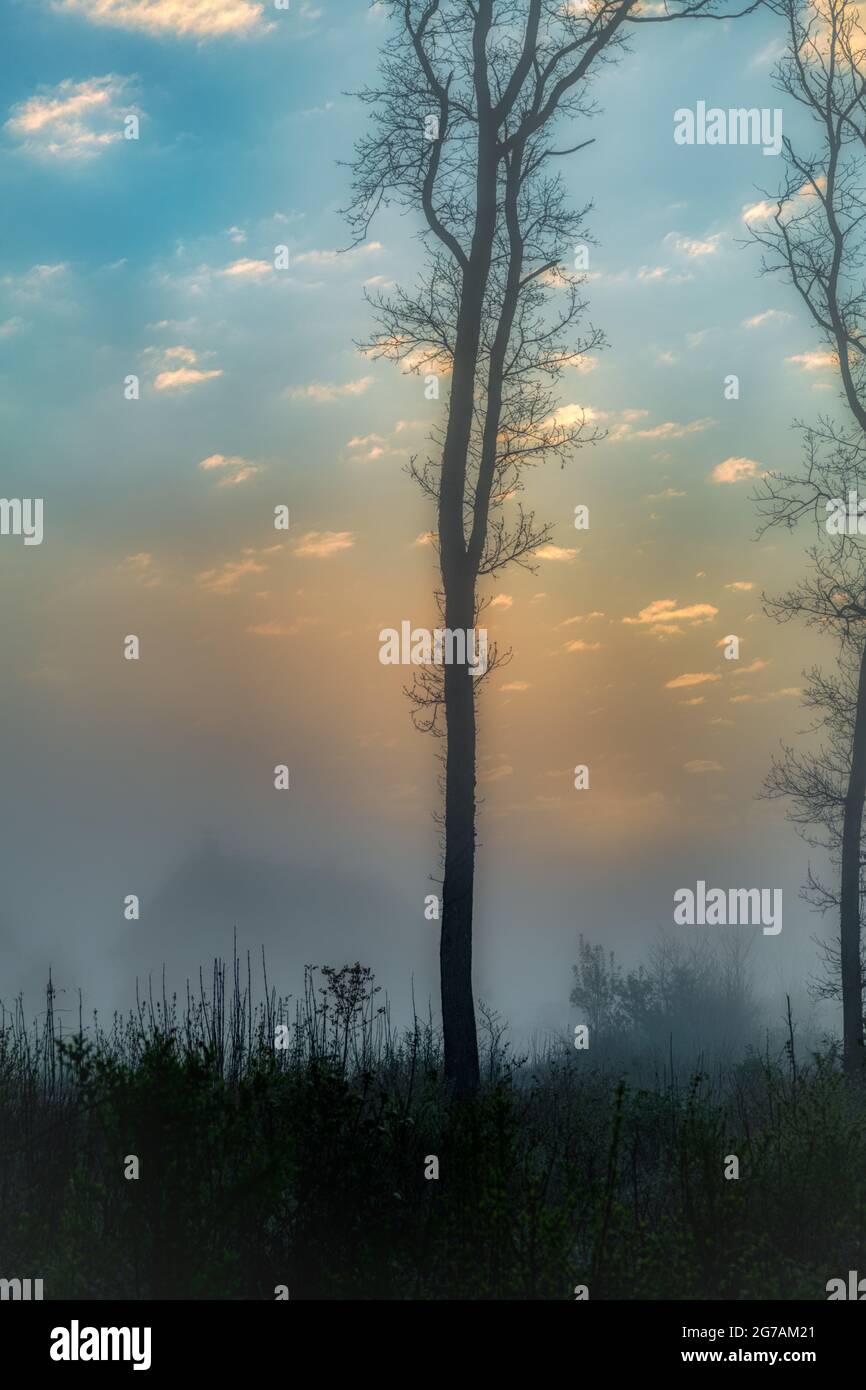 Sonnenaufgang mit Nebel, Landschaft rund um den Ammersee, Oberbayern, Bayern, Deutschland, Europa Stockfoto