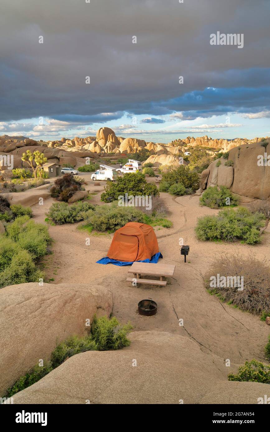RVS und Zelt auf einem Campingplatz im malerischen Joshua Tree National Park in Kalifornien Stockfoto