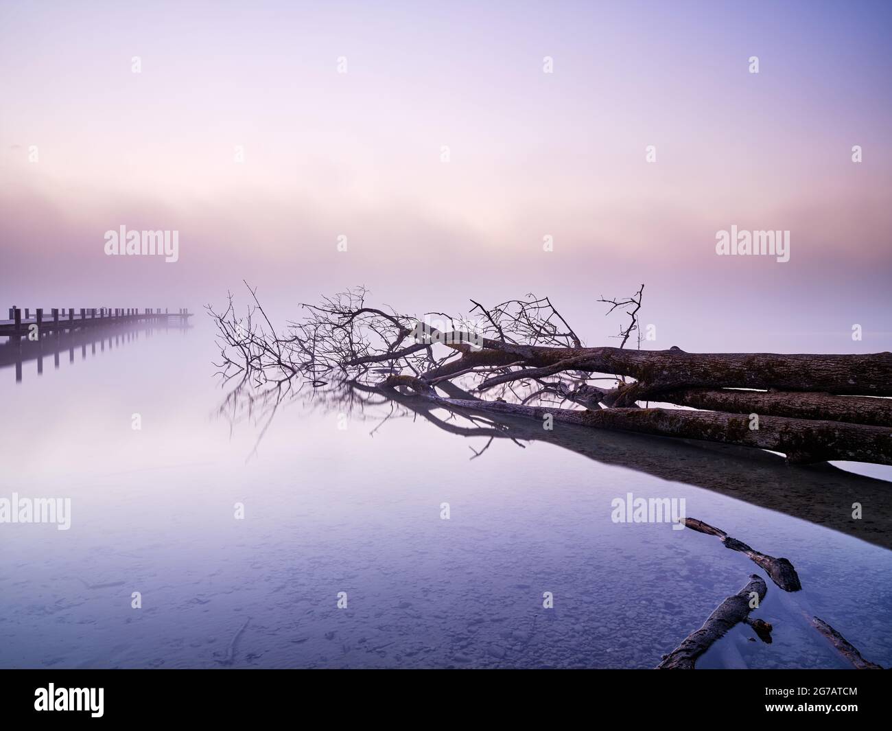 Fünf Seen Region, Kulturlandschaft, Fünfseenland, See, Seeufer, Steg, Baum, Totholz, Nebel, Morgenstimmung, Frühlingsmorgen, Voralpen, bayerische Voralpen Stockfoto