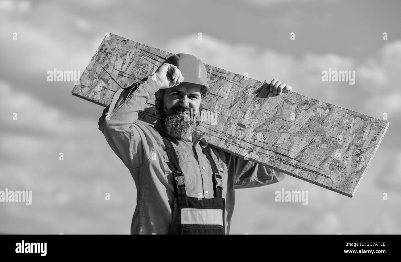 Provisorische Ausrüstung oder Strukturen montieren. Renovierungsservice. Mann trägt Faserplatten. Holzwerkstoff. Faserplatten in Wohn- und Stockfoto