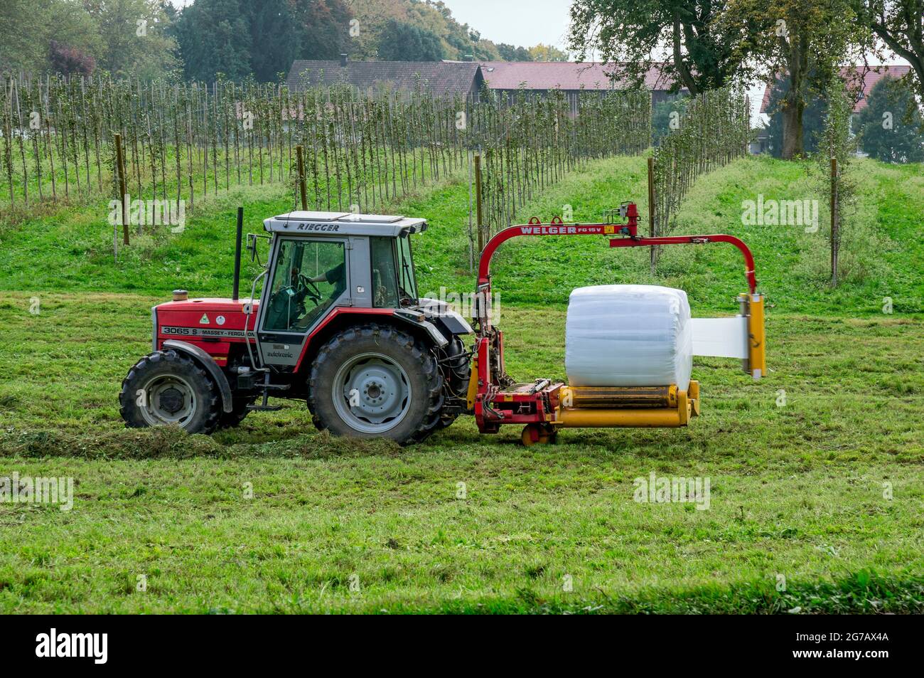 Deutschland, Baden-Württemberg, Traktor mit Rundballenwickler bei der Futterernte Stockfoto