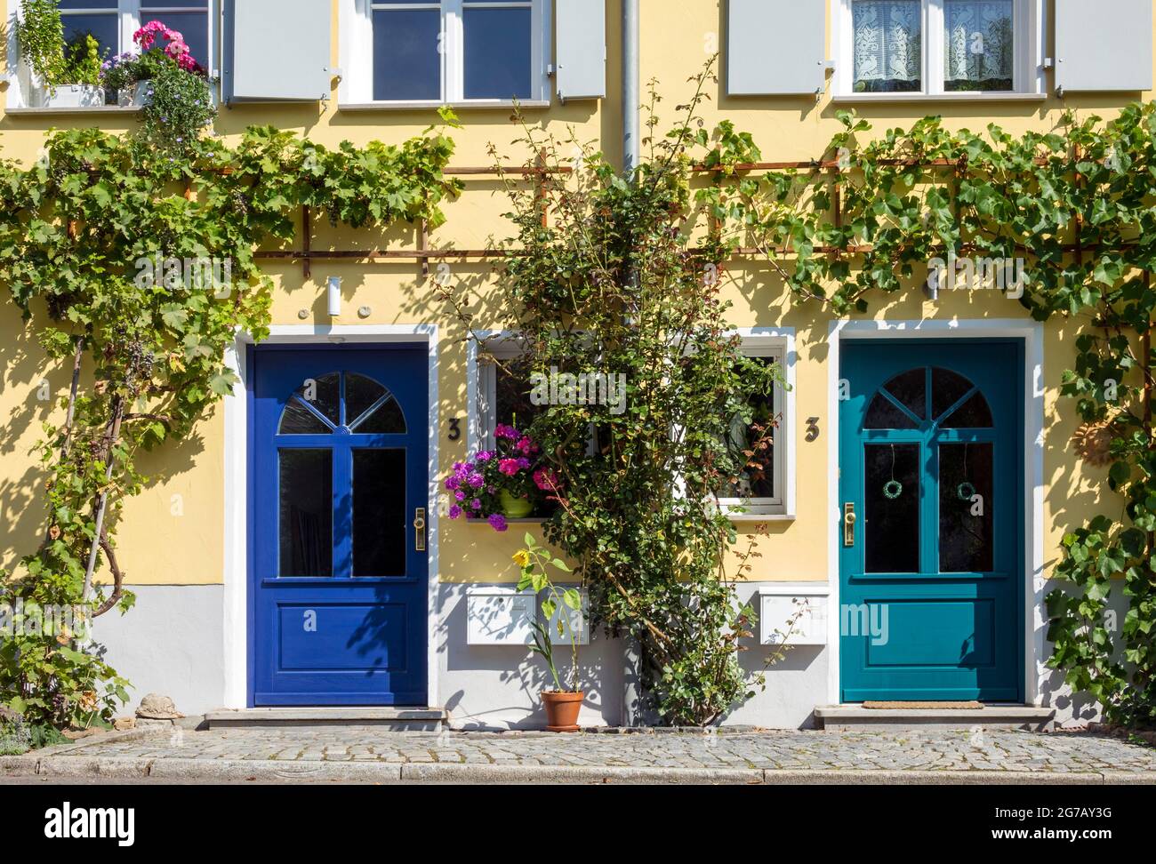 Deutschland, Baden-Württemberg, Tübingen, Doppelhaushälfte, blaue und grüne Haustür, Weinrebe Stockfoto