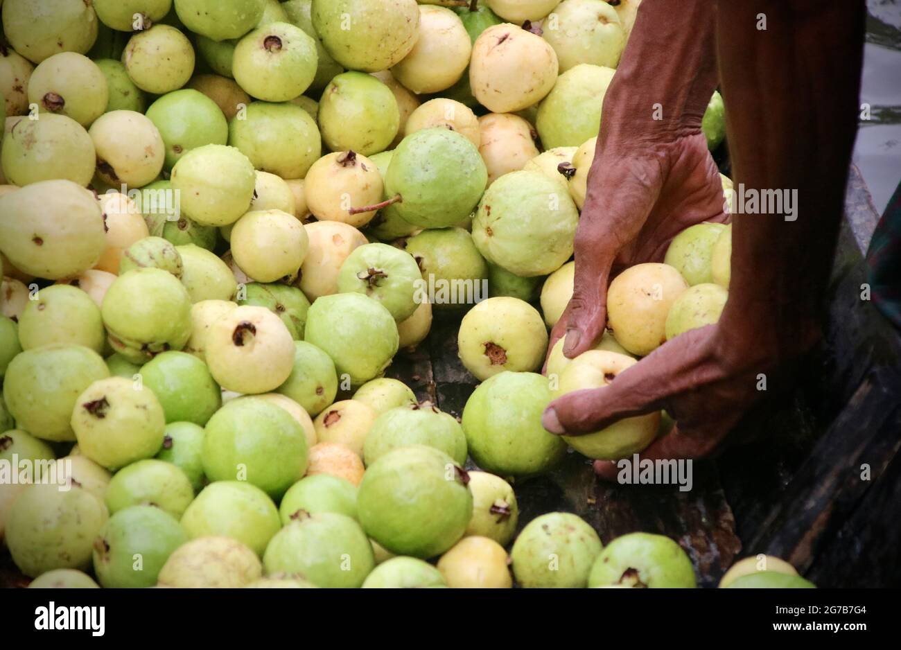 Floating Market von Bangladesch Stockfoto